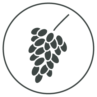 Well & Wine Logo Trauben