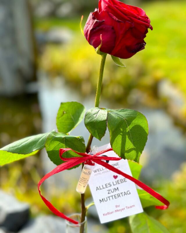 Wir wünschen allen Müttern alles Liebe zum Muttertag! ❤️🌹🥰
Unser Tipp für gestresste Mamas: Jetzt die nächste Wellness-Auszeit bei uns buchen (lassen)!

#muttertag #mama #dankemama